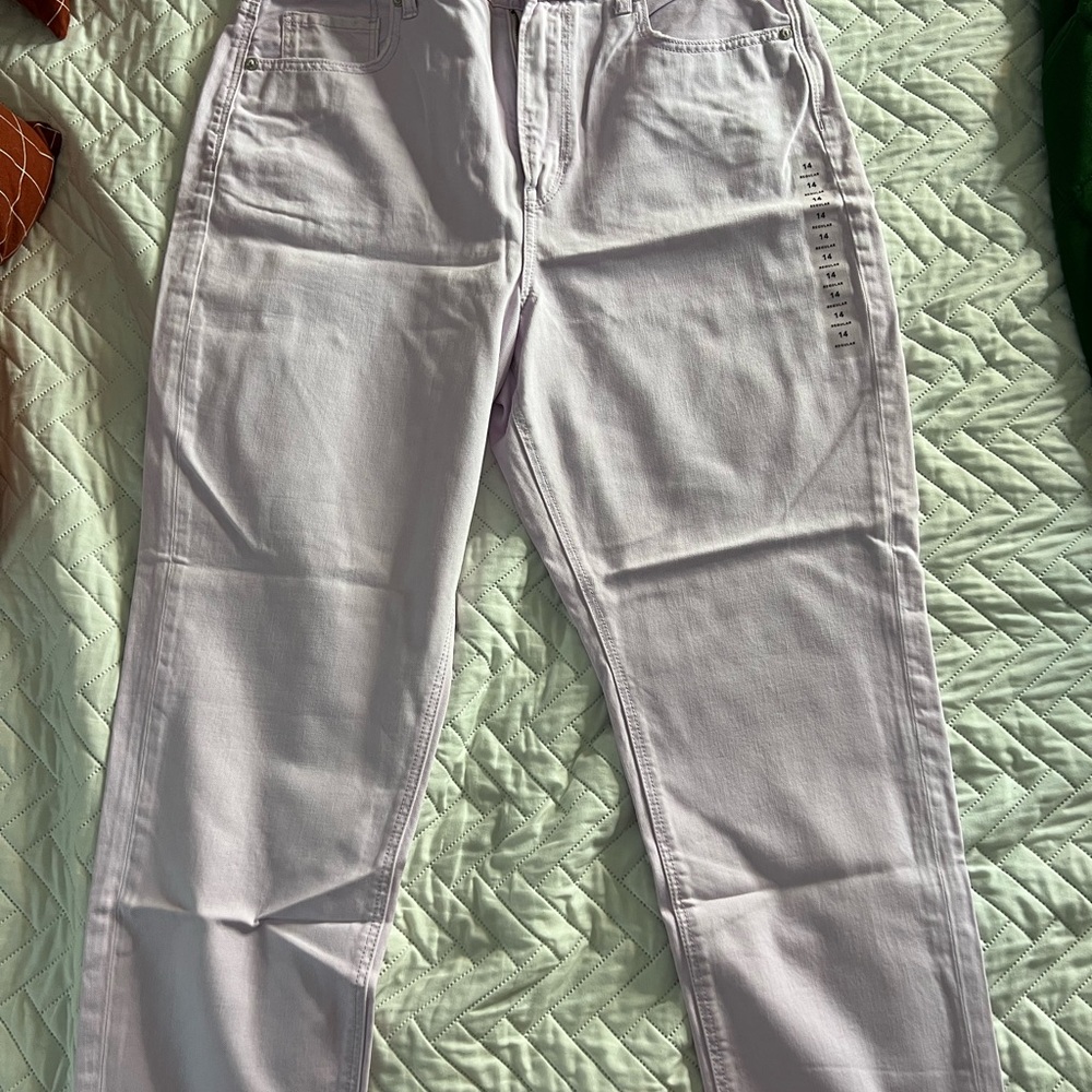 American Eagle Outfitters Light Purple Straight Leg Jeans